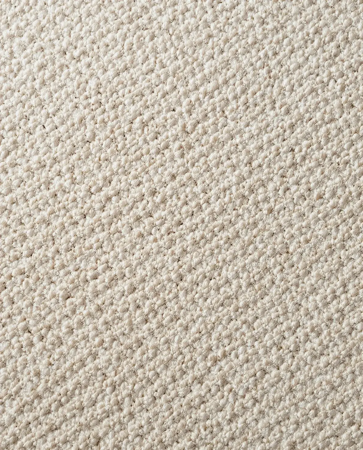 Close-up of a plush cream wool loop-pile carpet in raking light