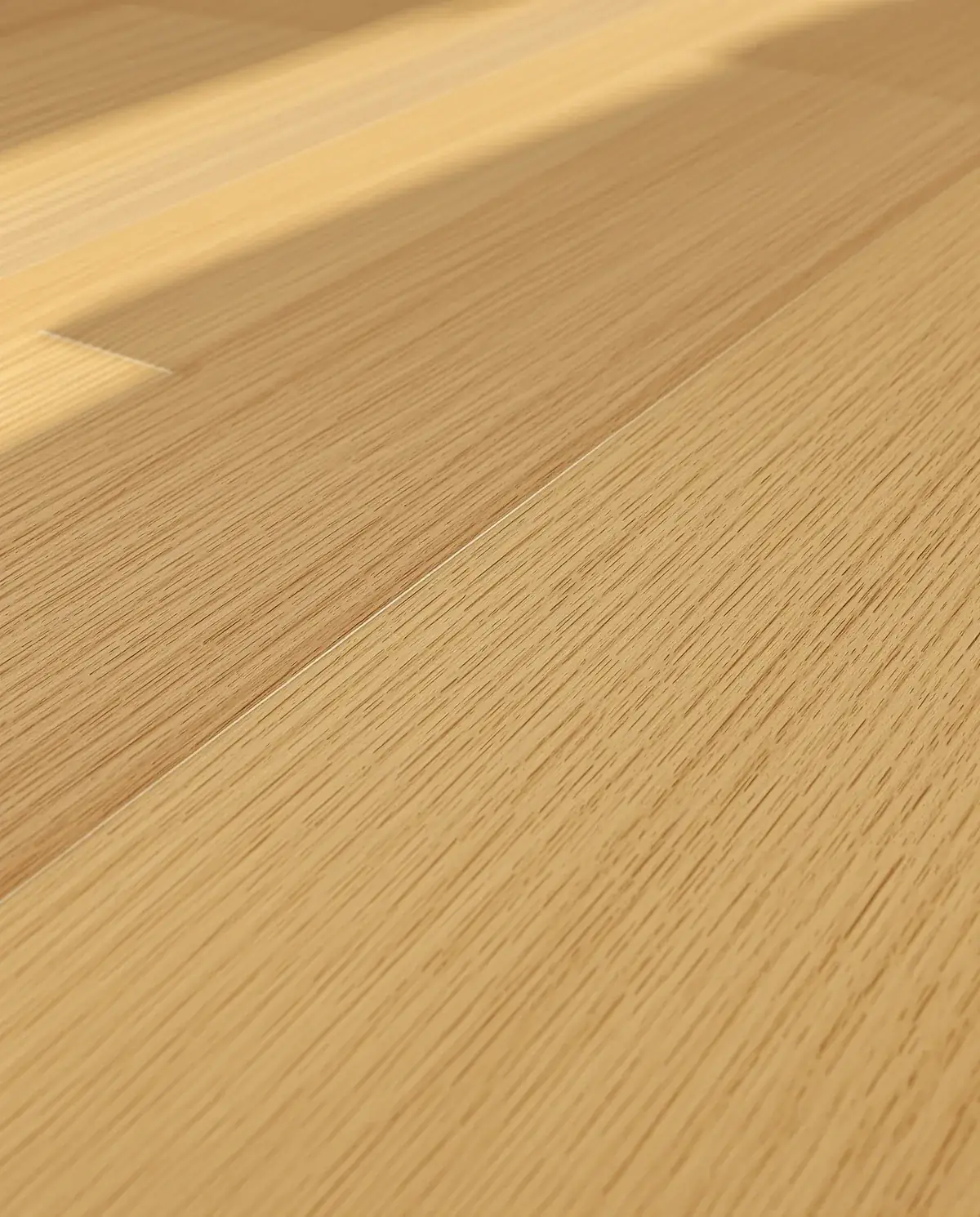 Close-up of wide-plank white oak hardwood in raking sunlight